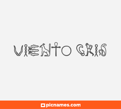 Viento Gris